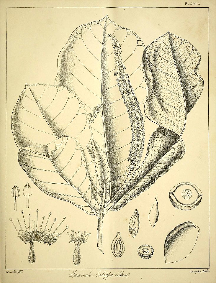 n116_w1150