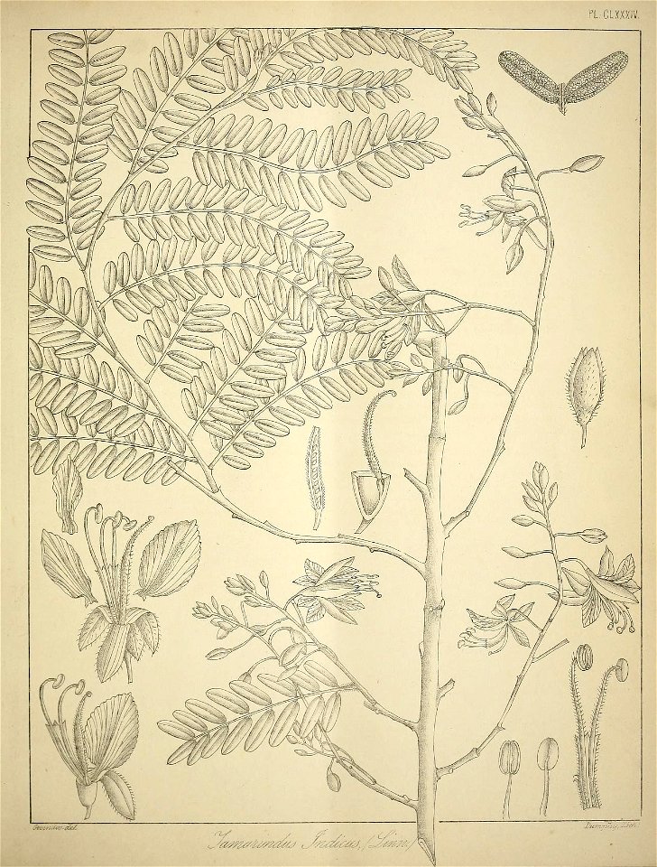 n772_w1150
