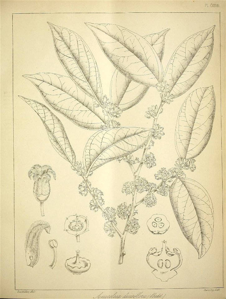 n588_w1150