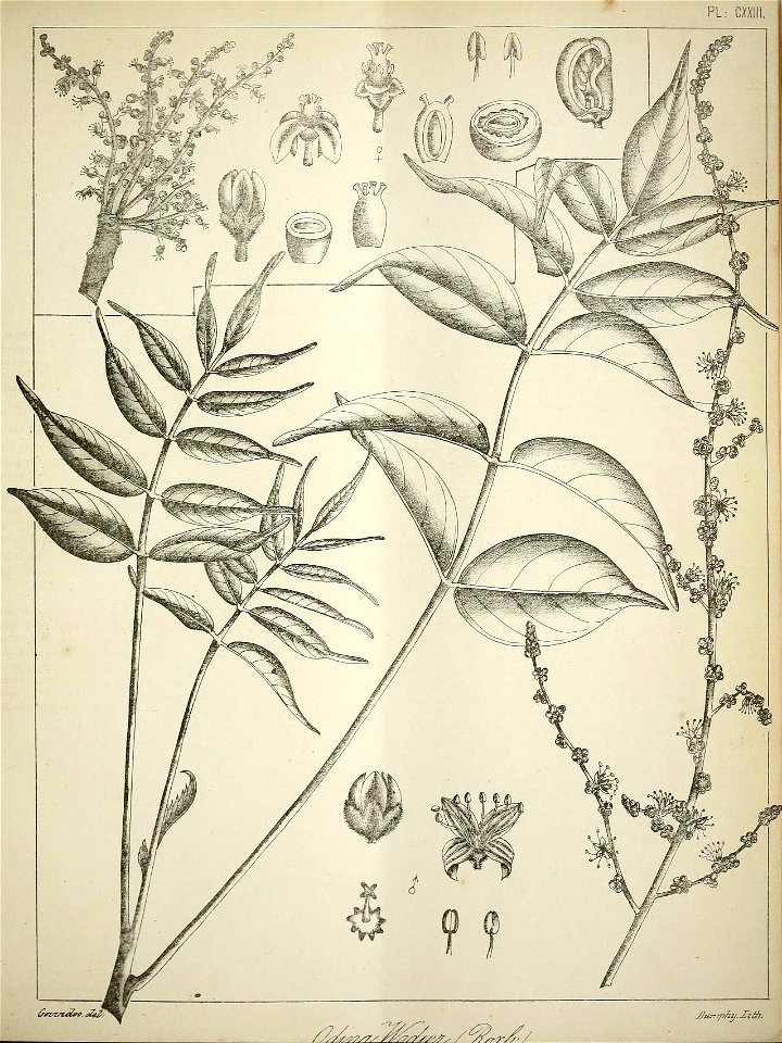 n528_w1150