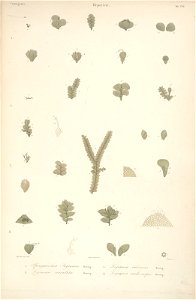 n19_w1150
