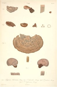 n17_w1150