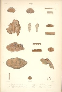 n16_w1150