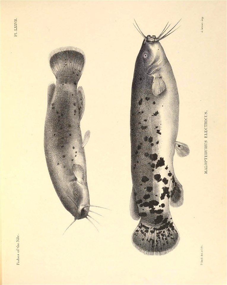 n228_w1150
