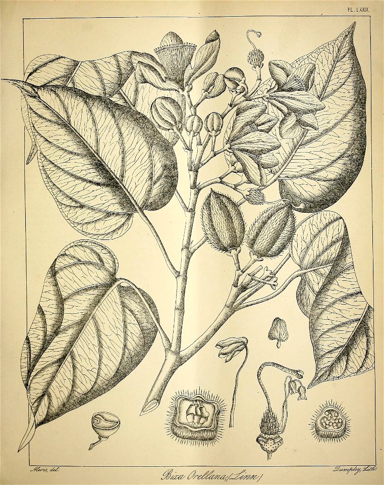 n352_w1150