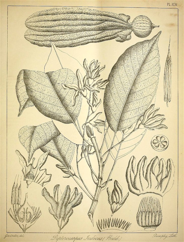 n412_w1150