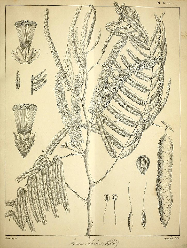 n232_w1150