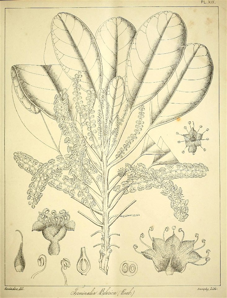 n112_w1150