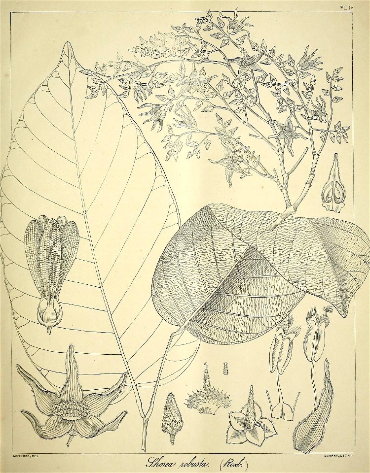 n52_w1150