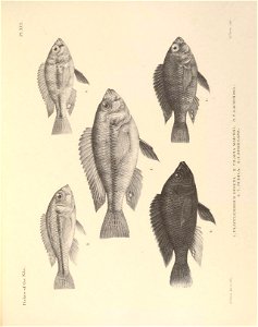 n256_w1150