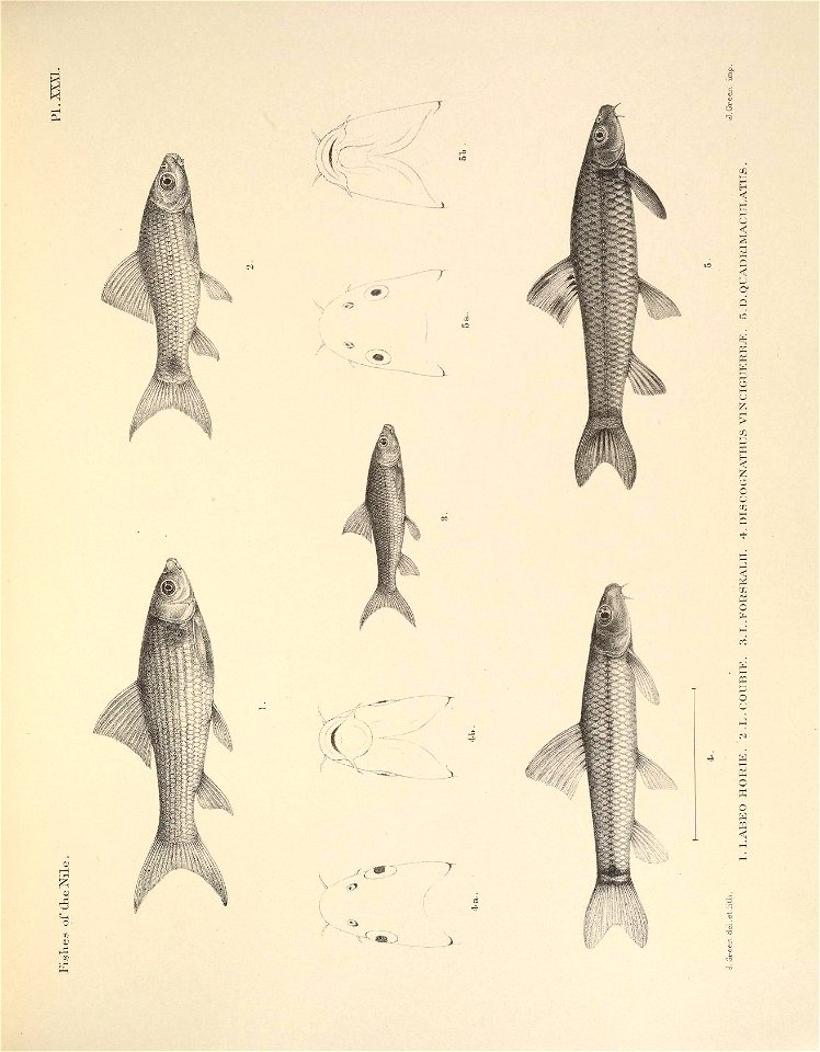 n104_w1150