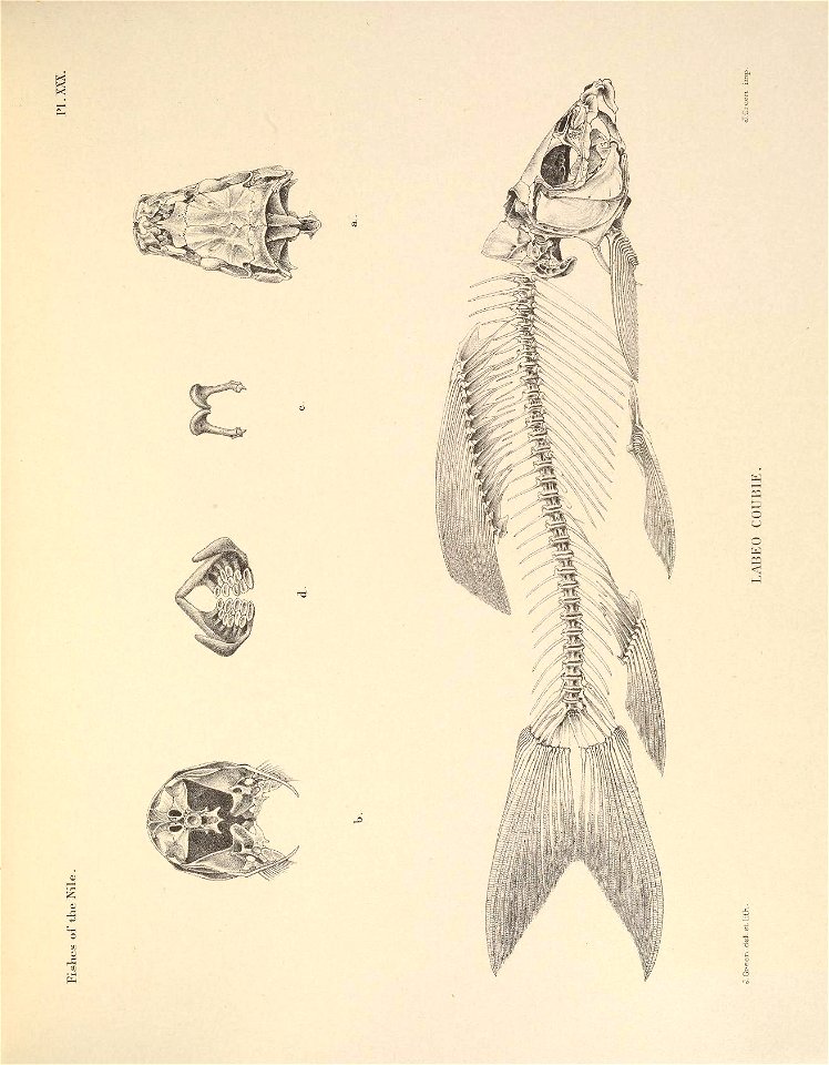n102_w1150