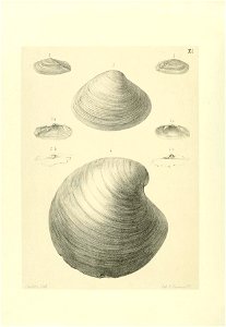 n153_w1150