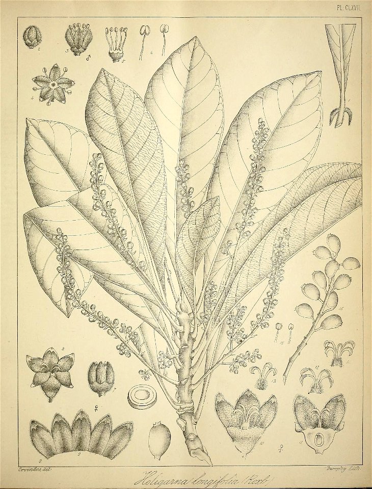 n704_w1150