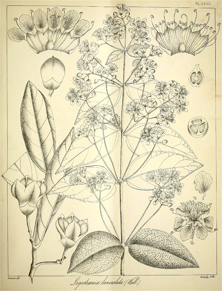 n164_w1150