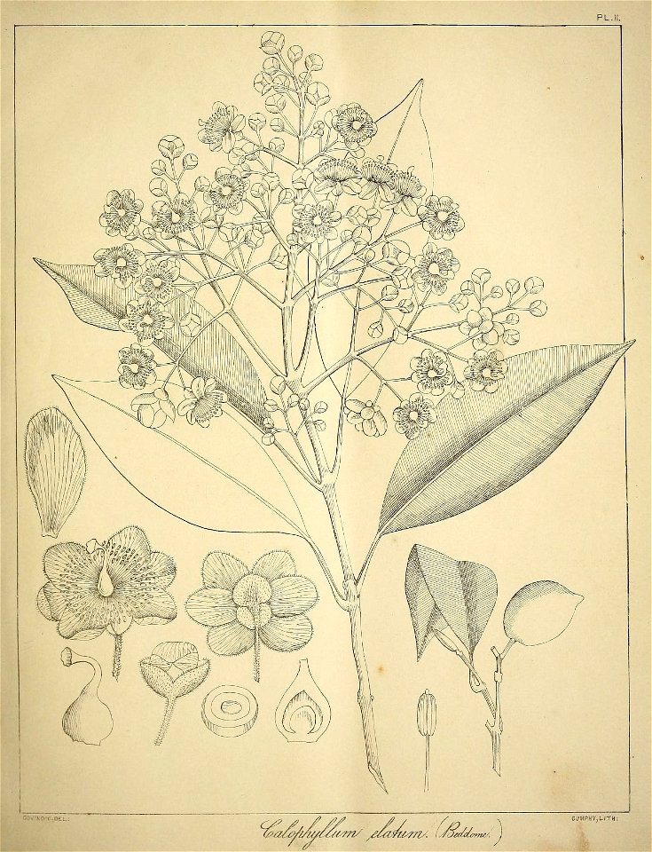 n44_w1150