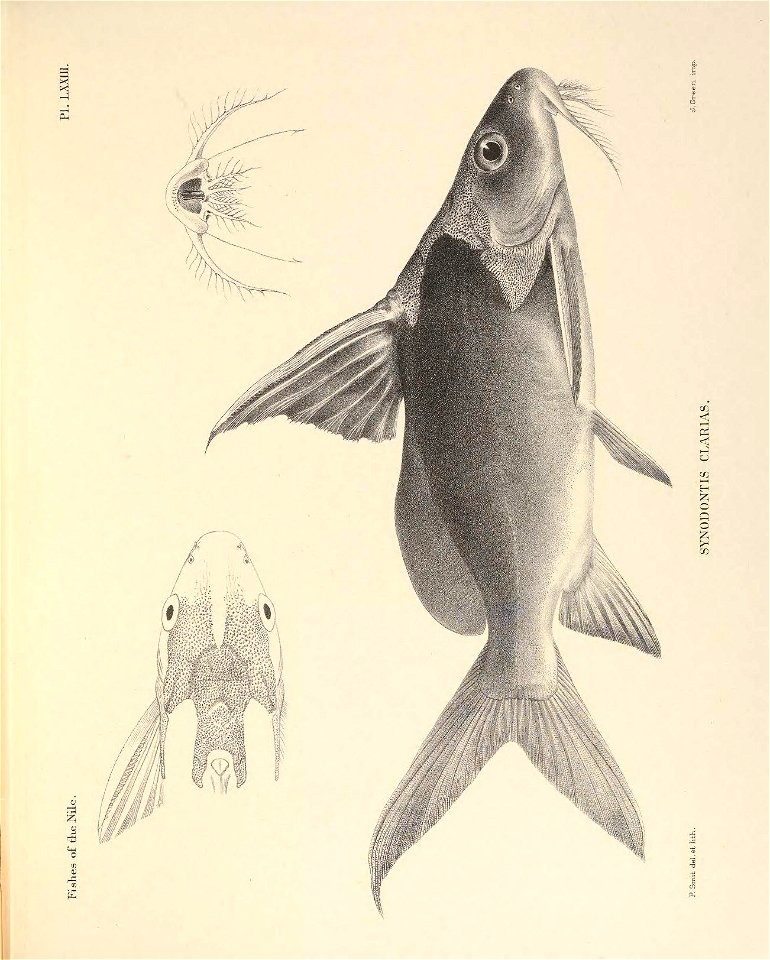 n218_w1150