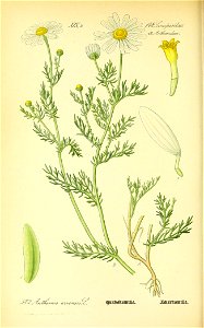 n567_w1150