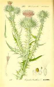 n621_w1150