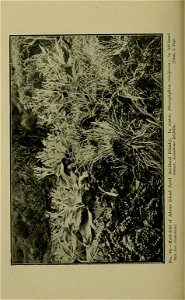 n247_w1150