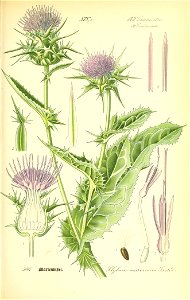 n618_w1150