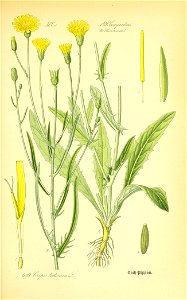 n694_w1150