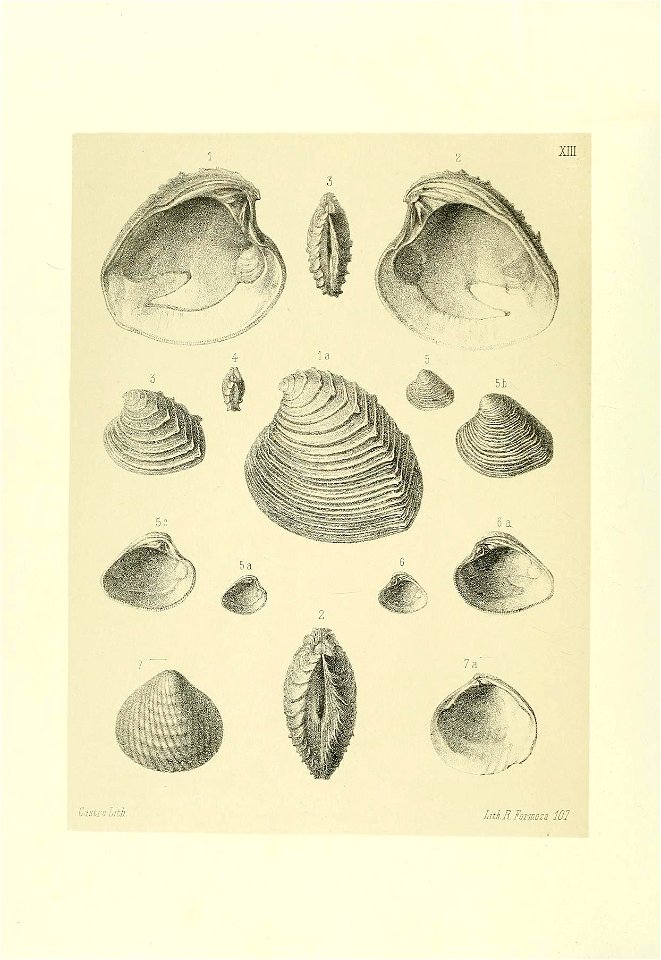 n161_w1150