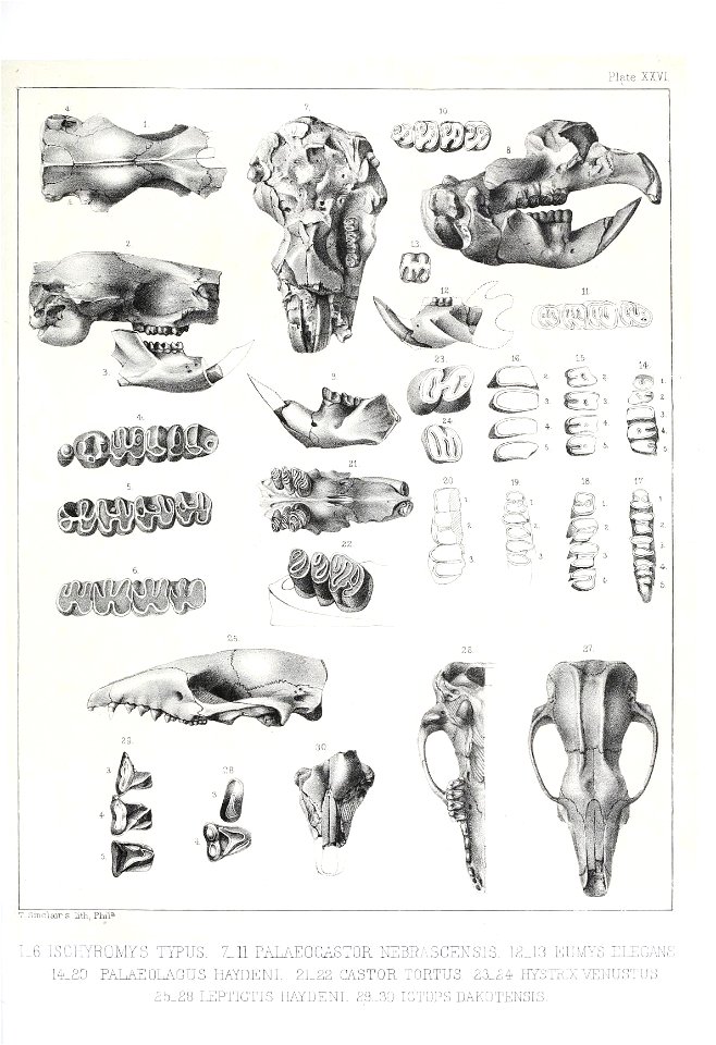 n528_w1150