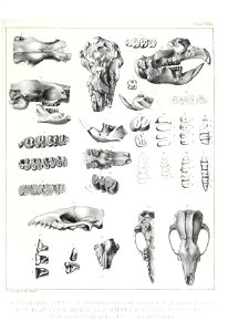n528_w1150