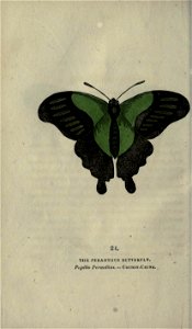 n225_w1150
