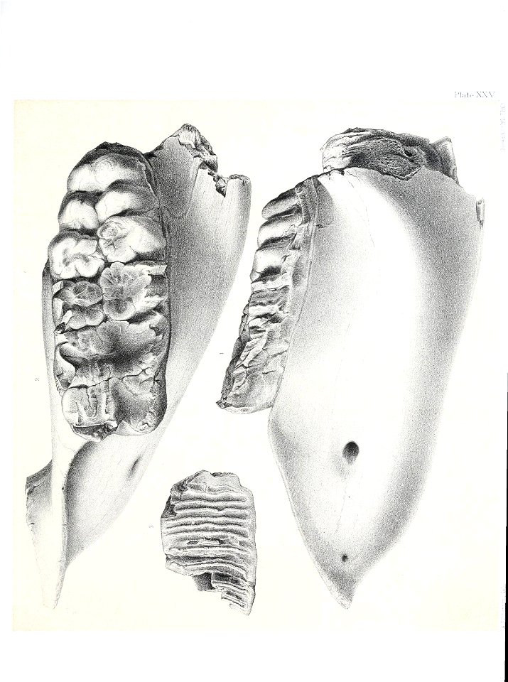 n526_w1150