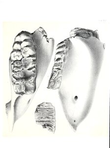 n526_w1150