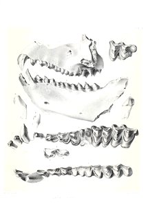n496_w1150