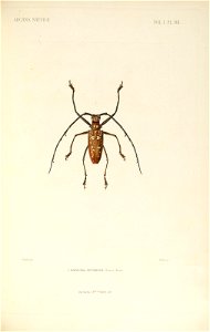 n158_w1150
