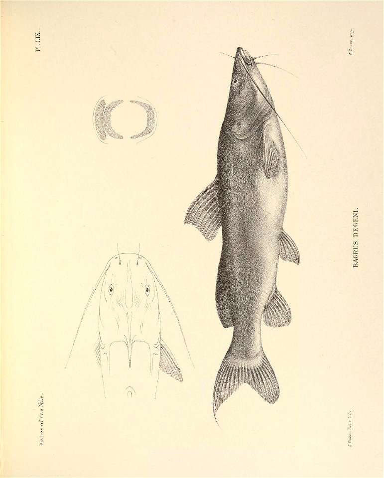 n178_w1150
