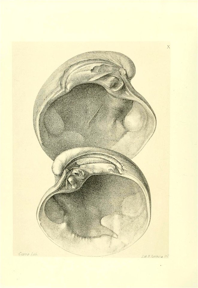 n149_w1150