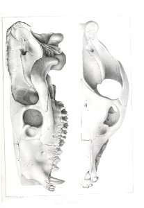 n492_w1150