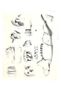 n522_w1150