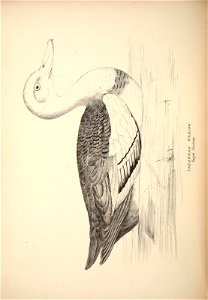n401_w1150