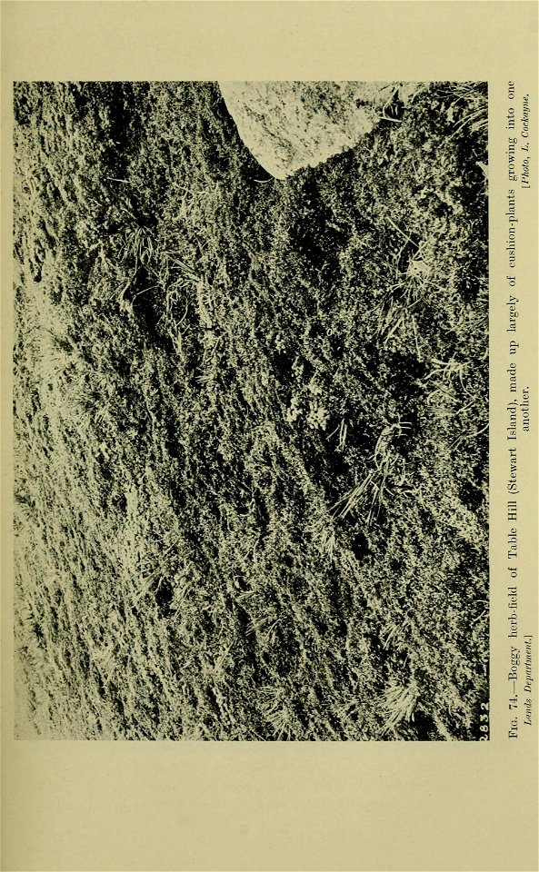 n188_w1150