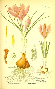 n596_w1150