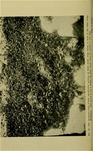 n169_w1150