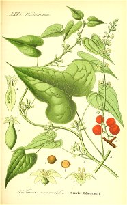 n592_w1150
