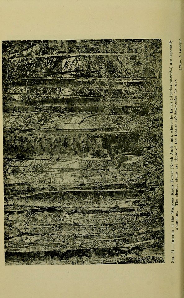 n89_w1150