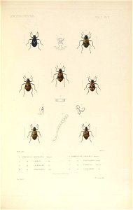 n162_w1150