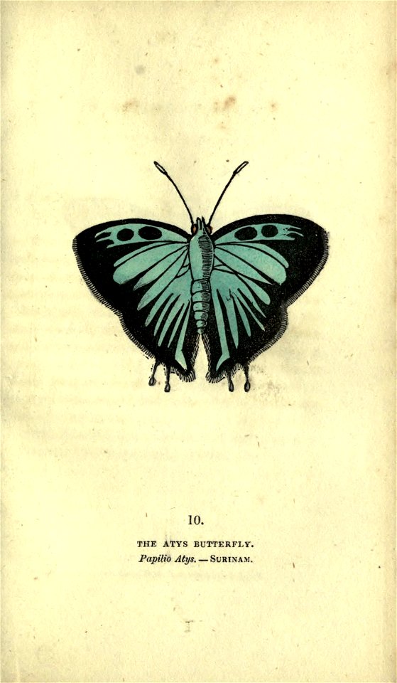 n176_w1150