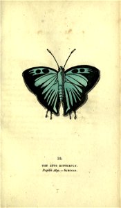 n176_w1150