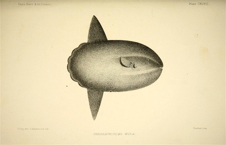 n302_w1150