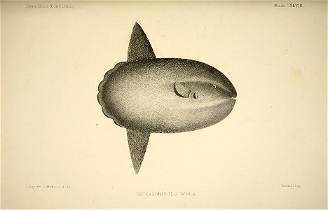 n302_w1150