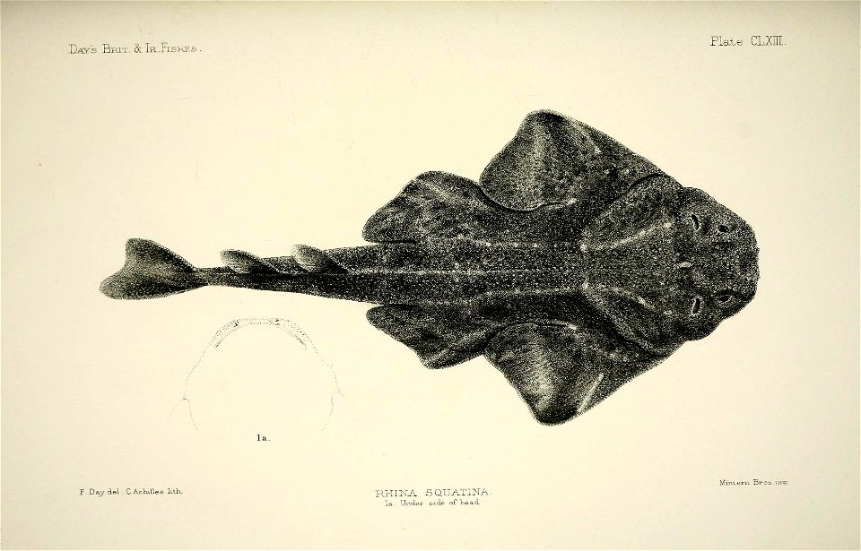 n332_w1150